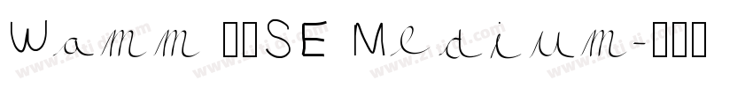 Wamm 01SE Medium字体转换